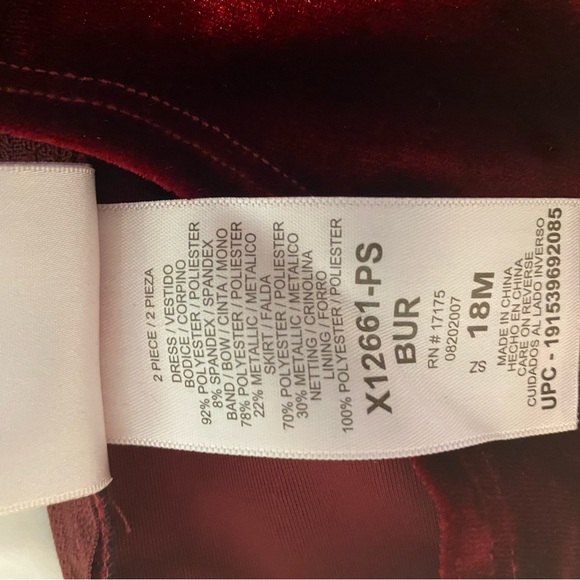 Toddler girl’s dress. 18 Mo. Iris & Ivy (dress and bloomer). - Picture 9 of 12